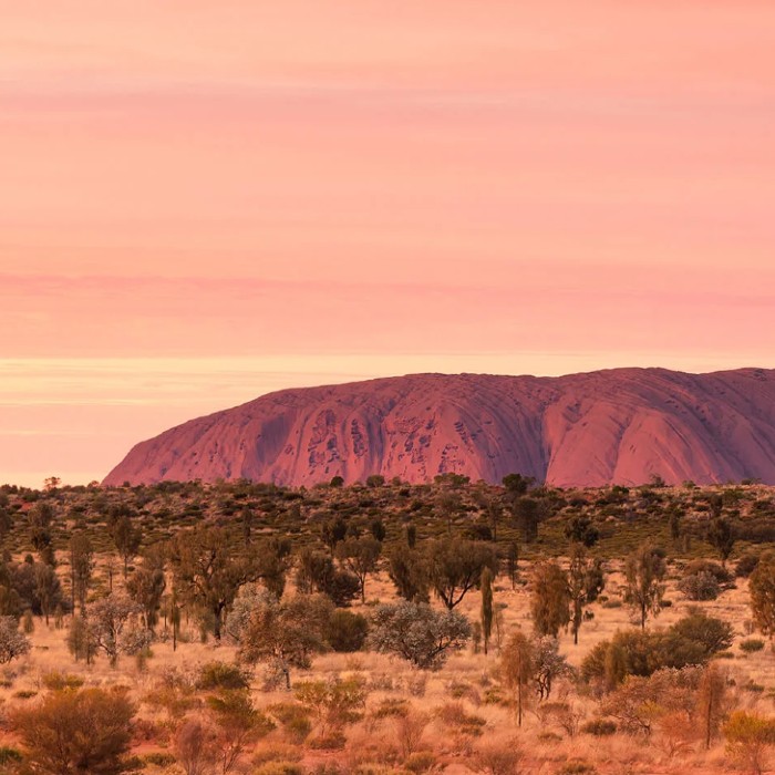 Backpacker Deals Uluru / Ayers Rock Review